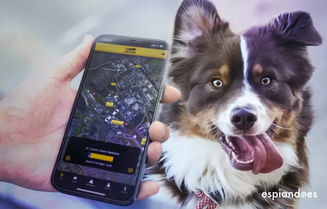 Mejores localizadores GPS para perros